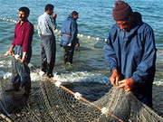 Рыболовы намерены бороться с незаконным ввозом опасных сетей