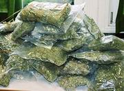 Полицейские изъяли у жителя Павлодара более 27 кг наркотиков