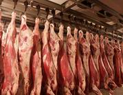 Казахстан ввел ограничения на ввоз мяса и мясопродуктов