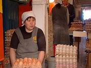 Работники птицефабрики получают зарплату яйцами и куриными тушками