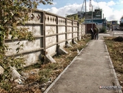 Свалку биоотходов организовали неизвестные в центре Павлодара