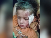 Известный адвокат высказался об избиении шестилетнего мальчика в Павлодаре