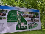 При реконструкции парка в Петропавловске вырубили 2000 деревьев
