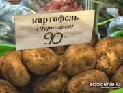 На павлодарских прилавках появилась первая партия черноярского картофеля