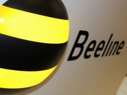           Beeline