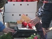 В Павлодарской области незначительно снизились цены на социально значимые товары