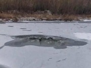 В Павлодарской области на тонком льду едва не утонули дети
