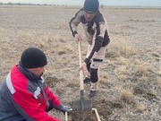 Пробы почвы взяли на озере Былкылдак в Павлодаре