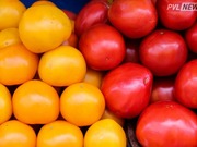 В Павлодарской области до конца года зафиксировали цены на помидоры и огурцы