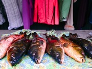 В Казахстане подорожала рыба