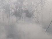 Пожары в Костанайской области: угроза населенным пунктам снята