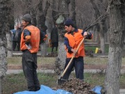 В Казахстане планируют применять принудительный труд в качестве адмнаказания