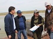 Не менее 90% эффективности обработки гнуса потребовал аким Павлодарской области