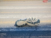 Павлодарец погиб под колесами авто на «зебре»