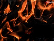 Пламя потушили вблизи кирпичного завода в Экибастузе