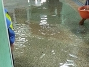 Вода затопила спорткомплекс в Павлодаре
