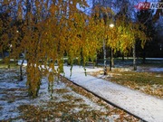 Ночные морозы ожидают в Павлодарской области