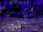 Два парня пострадали после столкновения с деревом в Павлодаре