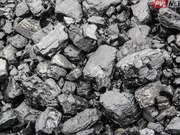 Жители Павлодарской области смогут купить уголь в кредит