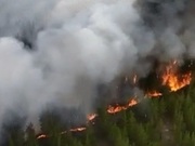 В области Абай горит уже 30 тысяч гектаров леса. Появилось видео с высоты