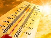 Штормовое предупреждение из-за жары объявили в Павлодарской области
