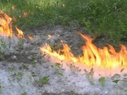 Трава и пух горели в Павлодаре