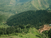 Роскошный коттедж в горах Алматы снесут по решению суда
