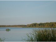 В Павлодарской области может появиться свое водохранилище