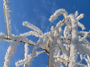 Морозы до 43 градусов: погода в Казахстане в выходные