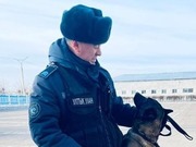 Тайник с оружием обнаружила собака в Павлодаре