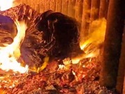 Каннабис и семена мака, весом 700 килограммов, сожгли полицейские
