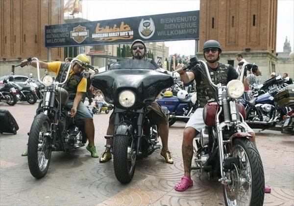  Harley-Davidson  
