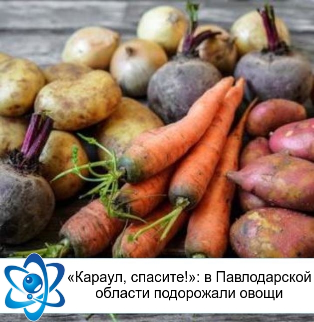 �������, �������!�: � ������������ ������� ���������� �����