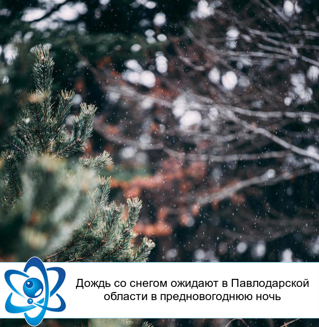 Дождь со снегом ожидают в Павлодарской области в предновогоднюю ночь